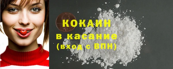 ГАЛЛЮЦИНОГЕННЫЕ ГРИБЫ Новозыбков