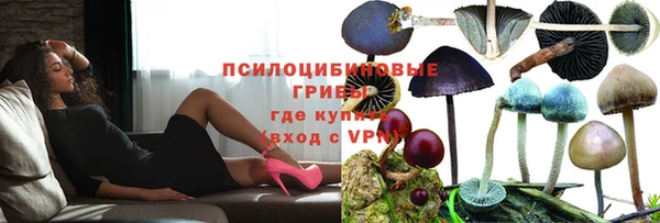 ПСИЛОЦИБИНОВЫЕ ГРИБЫ Новодвинск