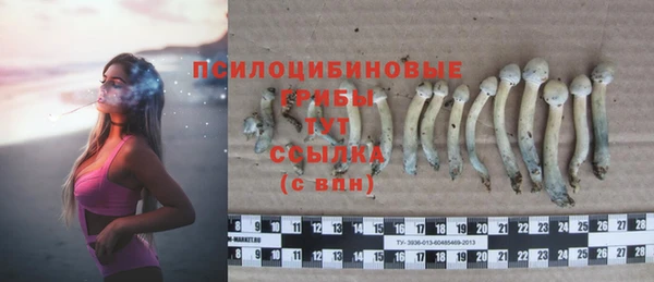 ГАЛЛЮЦИНОГЕННЫЕ ГРИБЫ Новозыбков
