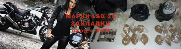 ПСИЛОЦИБИНОВЫЕ ГРИБЫ Новодвинск