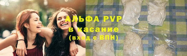ПСИЛОЦИБИНОВЫЕ ГРИБЫ Новодвинск