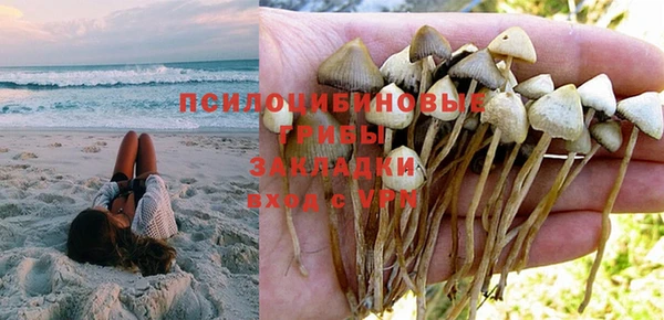 марки nbome Ветлуга