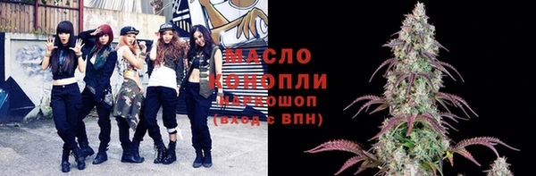 стаф Новокубанск
