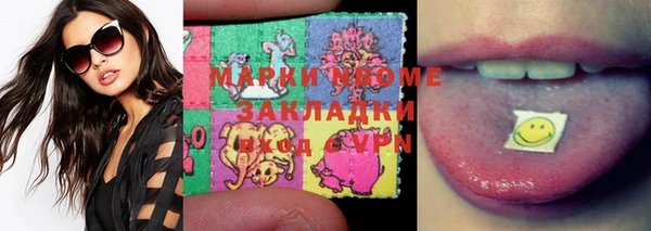 ГАЛЛЮЦИНОГЕННЫЕ ГРИБЫ Новозыбков