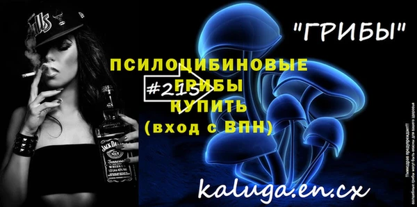 ПСИЛОЦИБИНОВЫЕ ГРИБЫ Новодвинск
