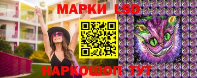 шишки Аргун