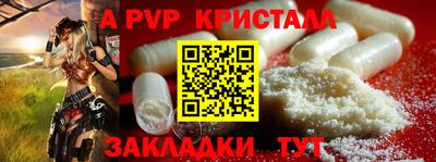 шишки Аргун