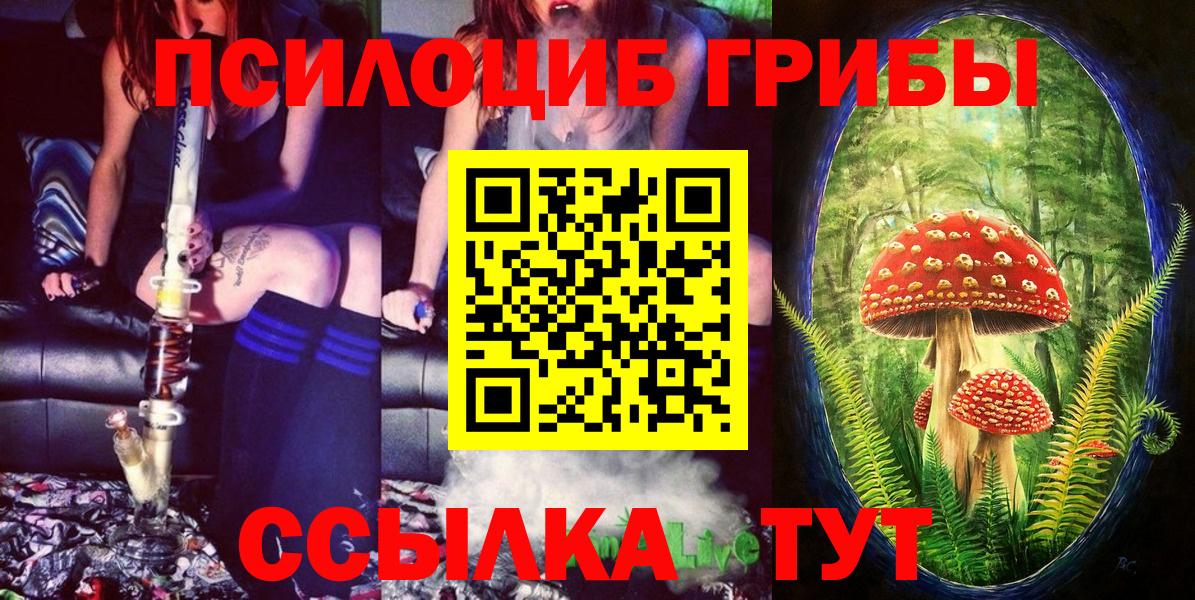 Псилоцибиновые грибы MAGIC MUSHROOMS  Асино 