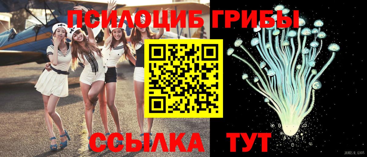 Асино  Галлюциногенные грибы Cubensis  Вход с VPN  Псилоцибиновые грибы Magic Shrooms 
