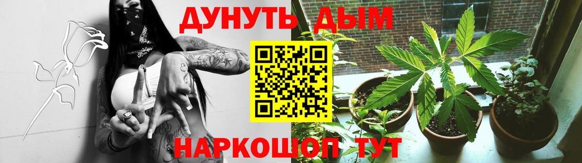 Марихуана White Widow  Вход с VPN  Канабис VHQ  Асино 